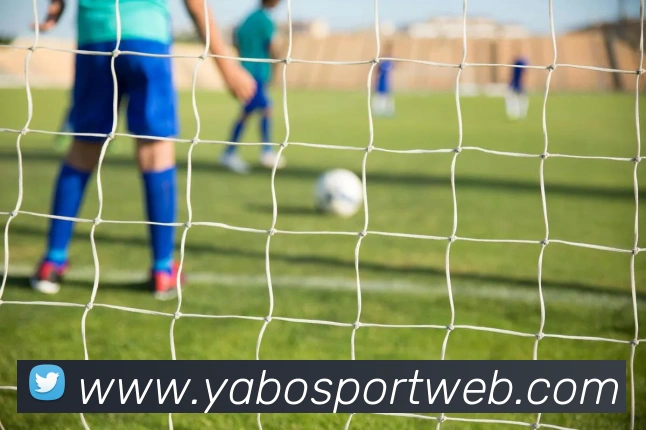 亚博体育平台生态图