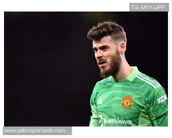 德赫亚加盟紫百合薪资高昂但球队保级前景堪忧未来发展成疑