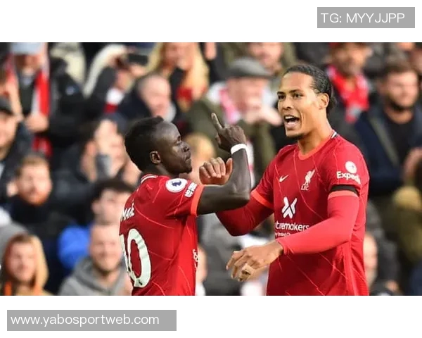 阿利松与戈麦斯意外相撞队医紧急救助后比赛得以继续进行